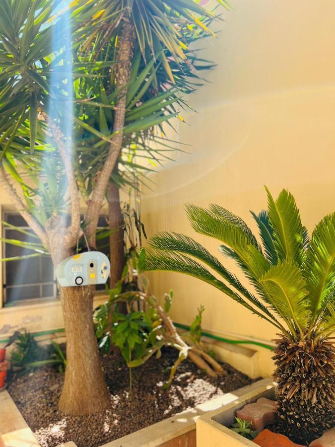 リド・ディ・オスティアSurf Houseアパートメント エクステリア 写真